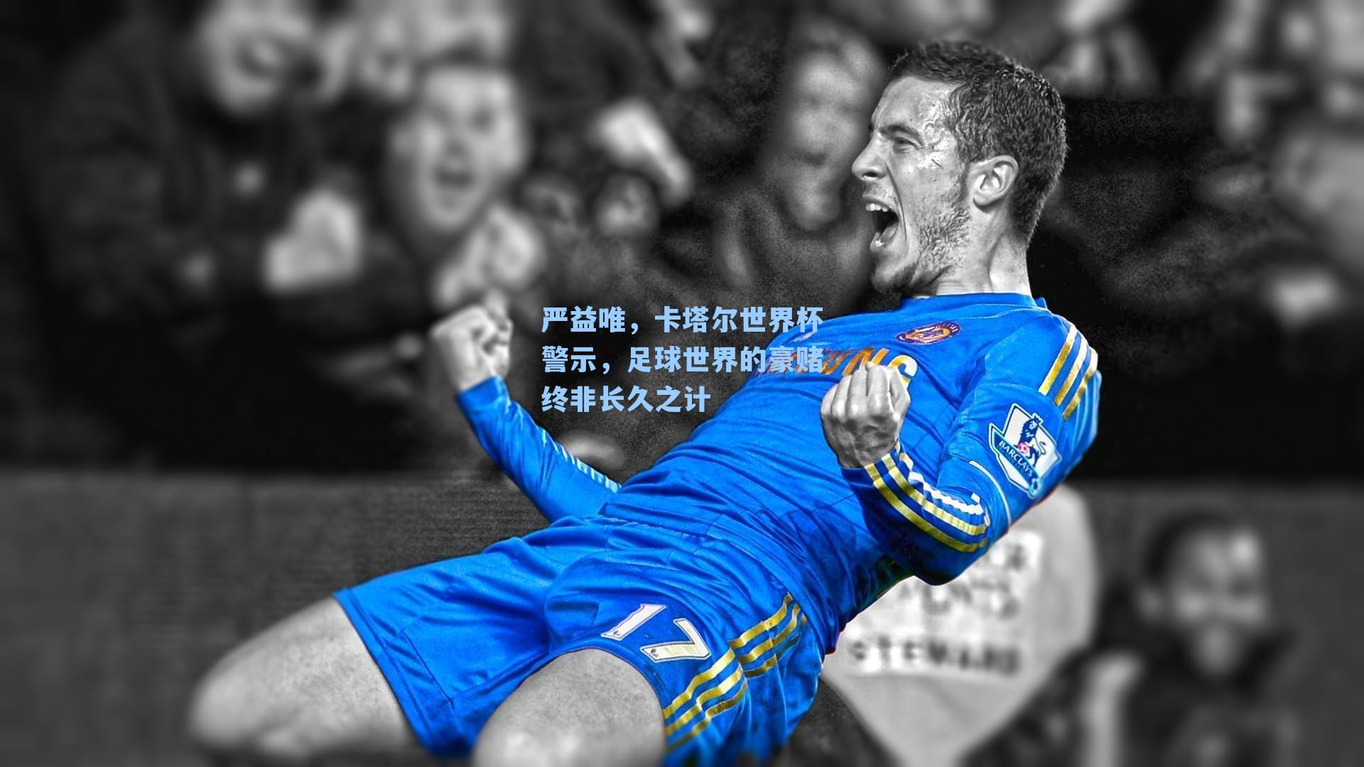 严益唯，卡塔尔世界杯警示，足球世界的豪赌终非长久之计