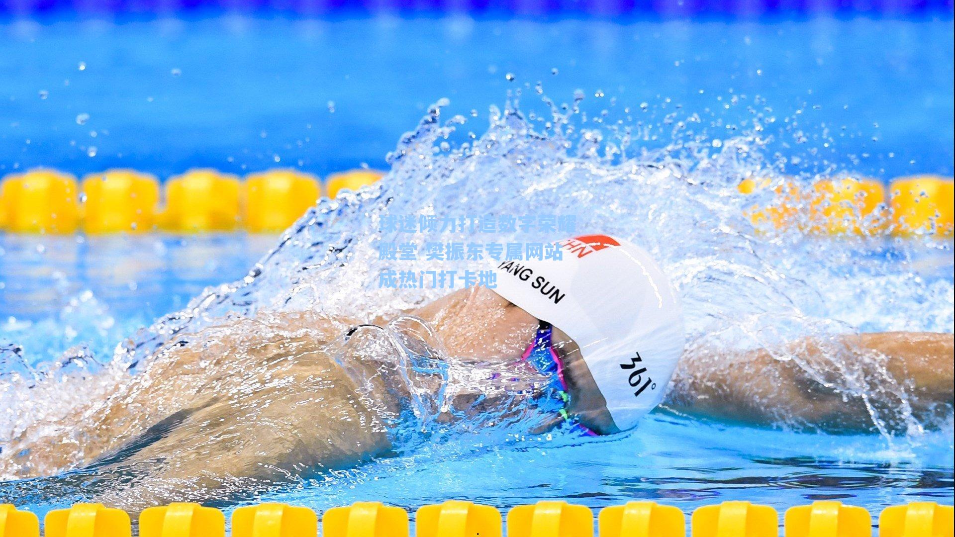 球迷倾力打造数字荣耀殿堂 樊振东专属网站成热门打卡地